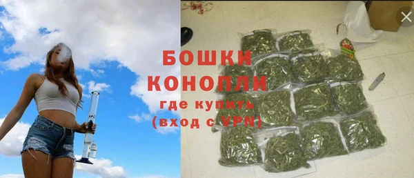молекула духа Белокуриха