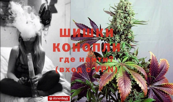 каннабис Богородицк